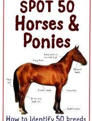Spot 50 Horses and Ponies