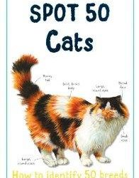 Spot 50 Cats
