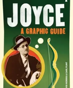 Joyce the Graphic Guide
