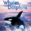 Whales and Dolphins (Usborne Discovery)