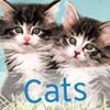 Cats Handbook