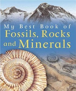 My Best Book of Fossils, Rocks and Minerals