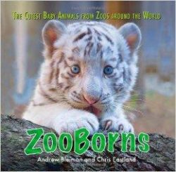 ZooBorns: The Cutest Baby Animals from Zoos Around the World! (Hardback)