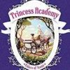 Princess Academy: Palace of Stone: New Edition